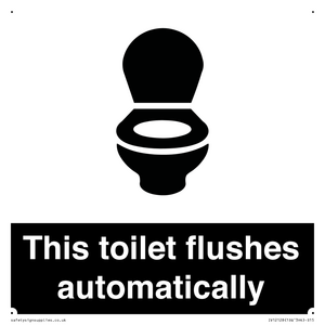 This toilet flushes automatically